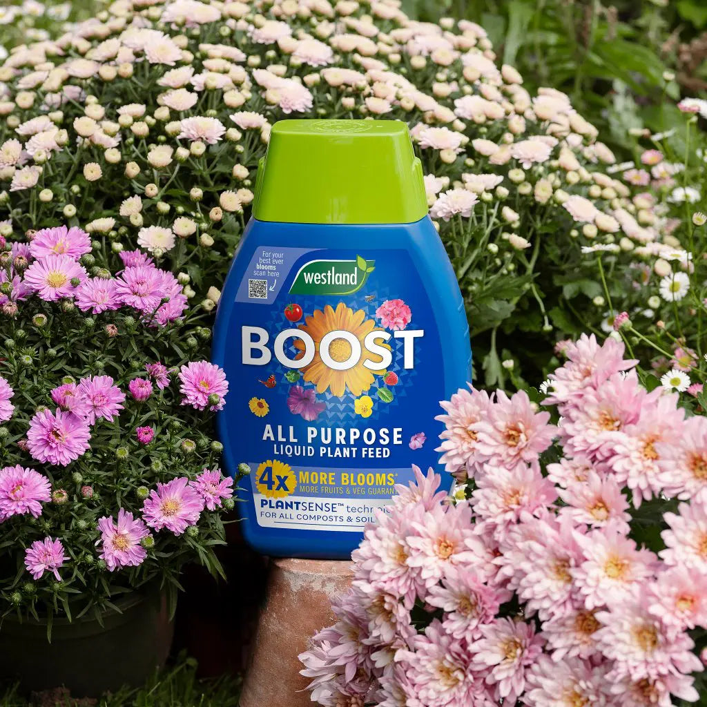 Westland Boost All Purpose Liquid Plant Food 1L