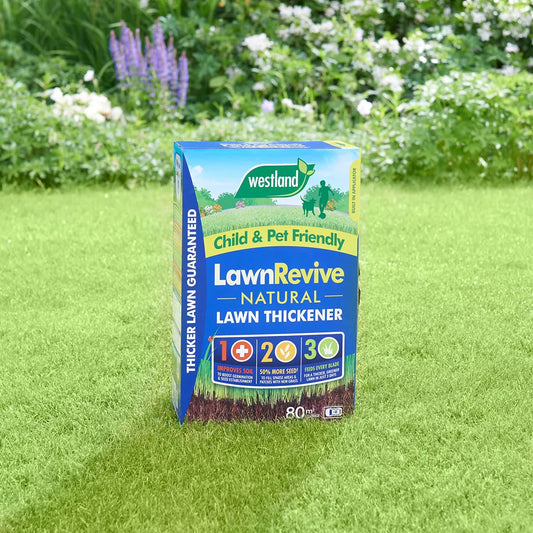 Westland Revive Lawn Thickener Large Box-New 150sqm