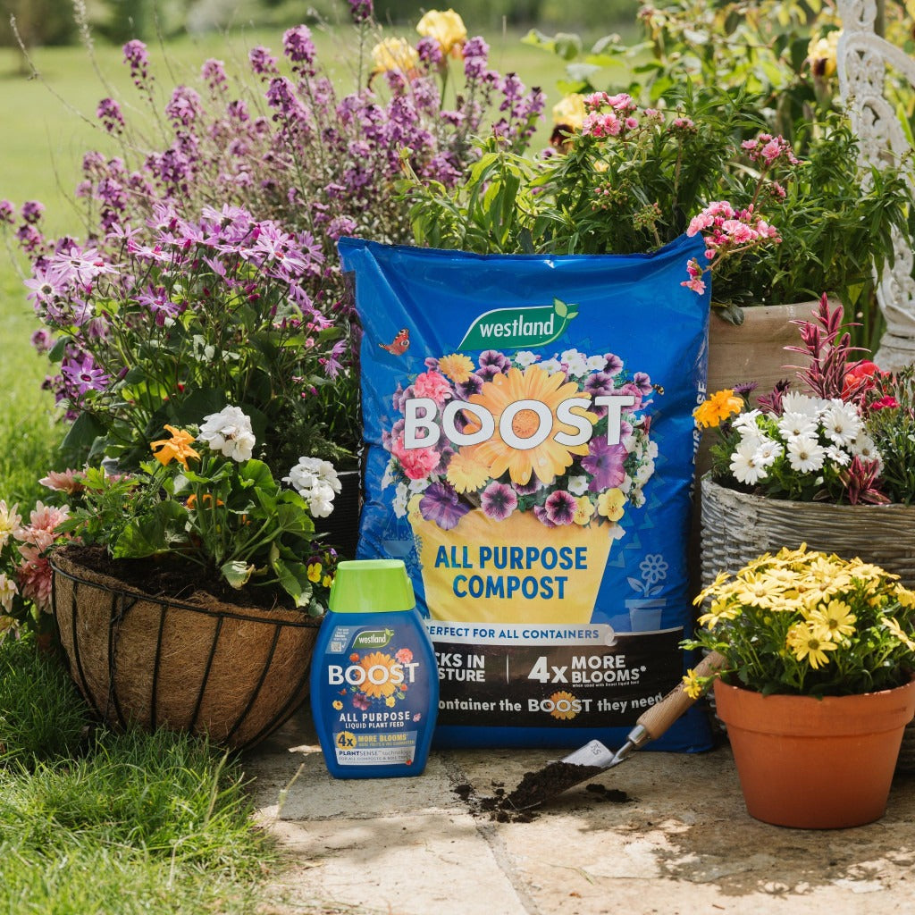 25L Boost All Purpose Compost Mini