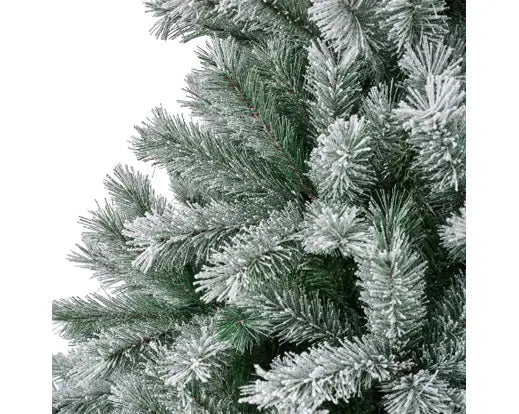 CANADA SPRUCE FROSTED 8FT