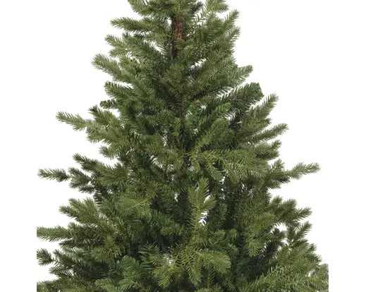 Rumford Fir 7ft