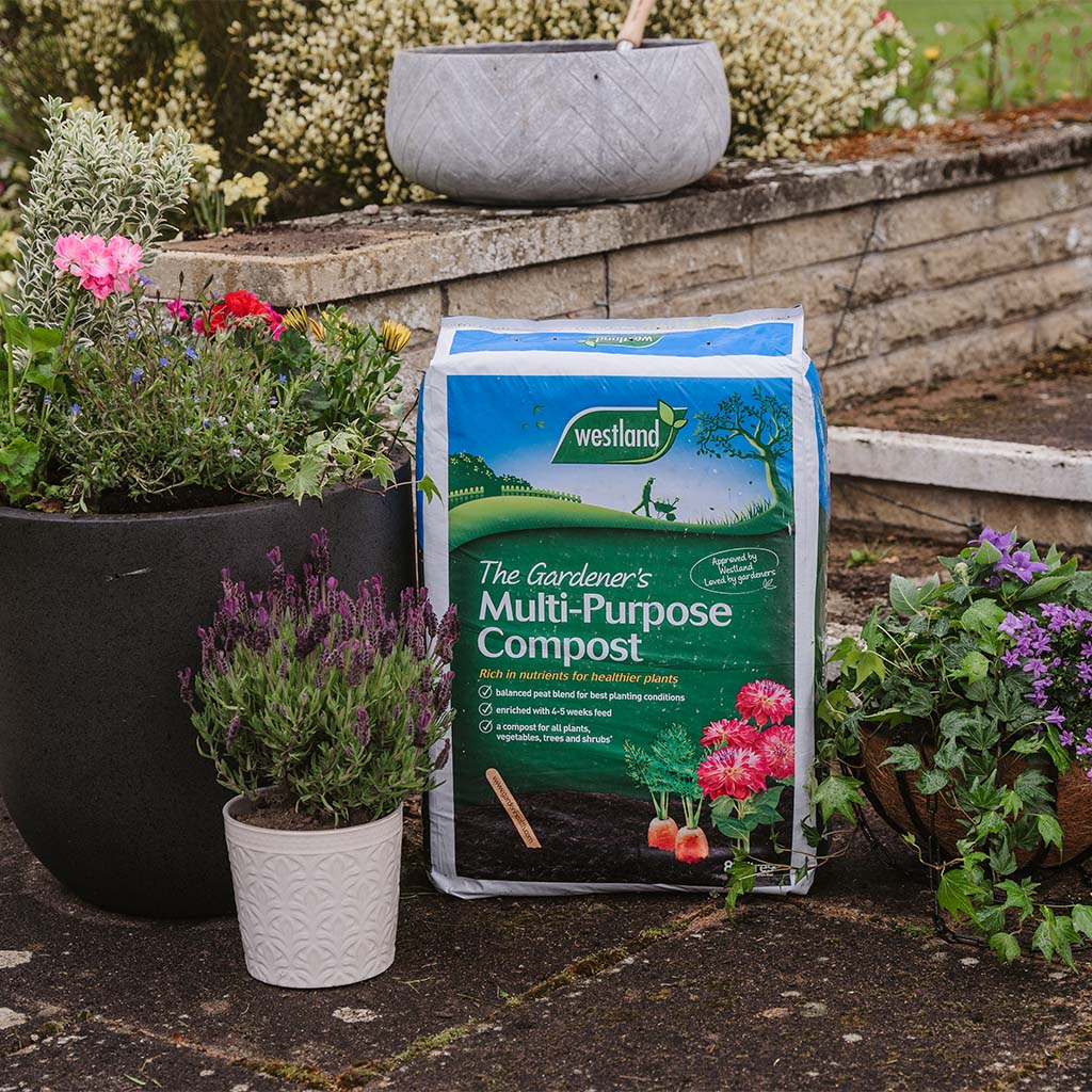 The Gardener's Multi Purpose Compost 80L