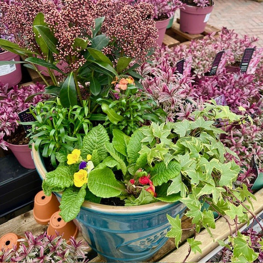 MOTHER'S DAY PLANTER LARGE