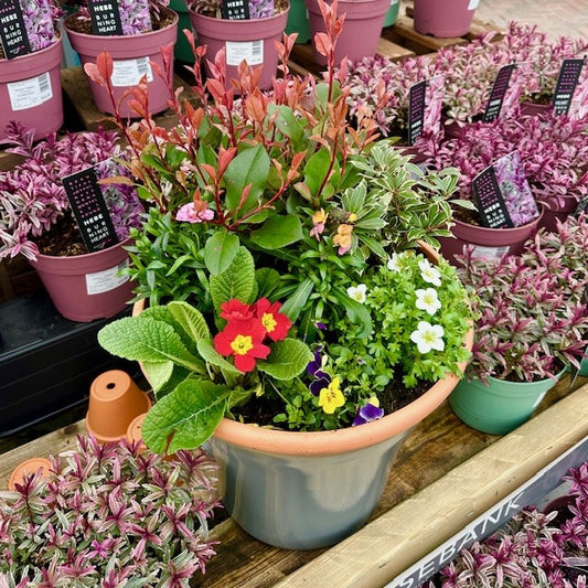 MOTHER'S DAY PLANTER MEDIUM