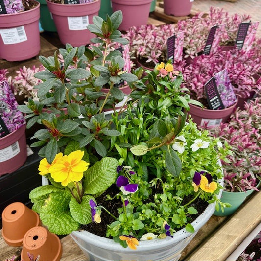 MOTHER'S DAY PLANTER SMALL