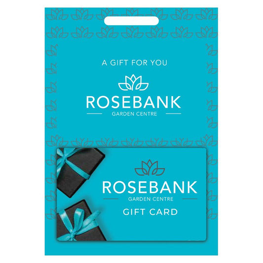 Gift Card - Blue