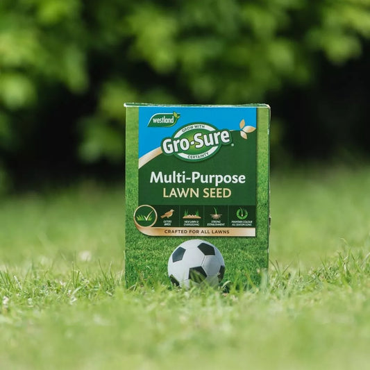 Gro-Sure Multi Purpose Lawn Seed Box 10sq.m + 30% EF