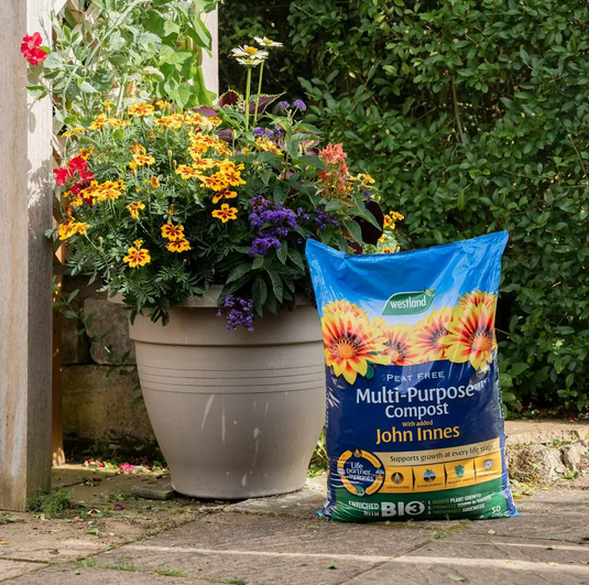 Collections Rosebank Garden Centre