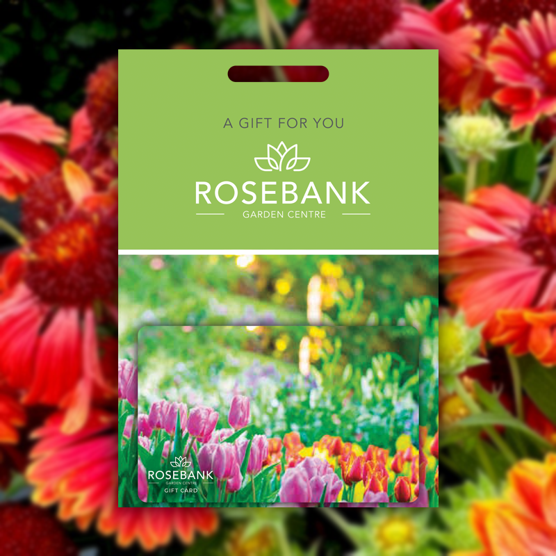 Collections Rosebank Garden Centre