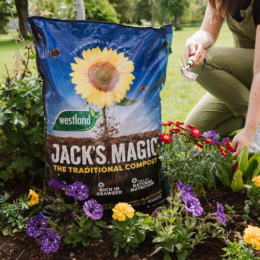 Jack's Magic All Purpose Compost 50L