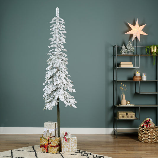 Alpine Fir Snowy 8ft