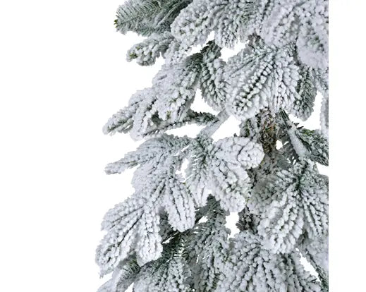 Alpine Fir Snowy 8ft