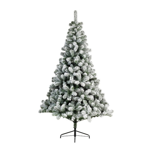 CANADA SPRUCE FROSTED 8FT