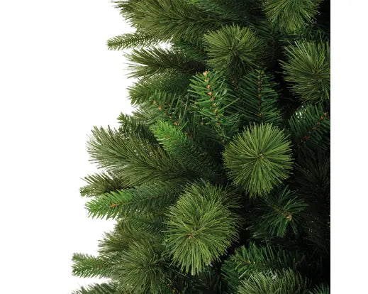 EDMONTON SPRUCE 7FT