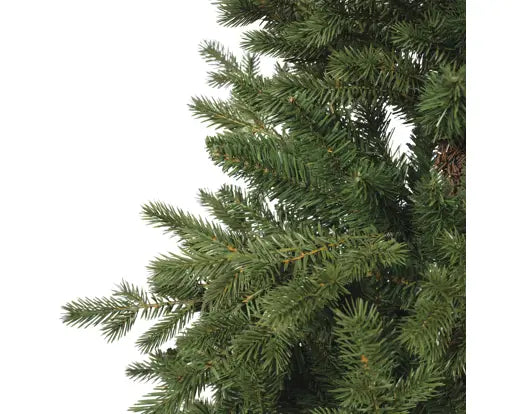 Rumford Fir 8ft