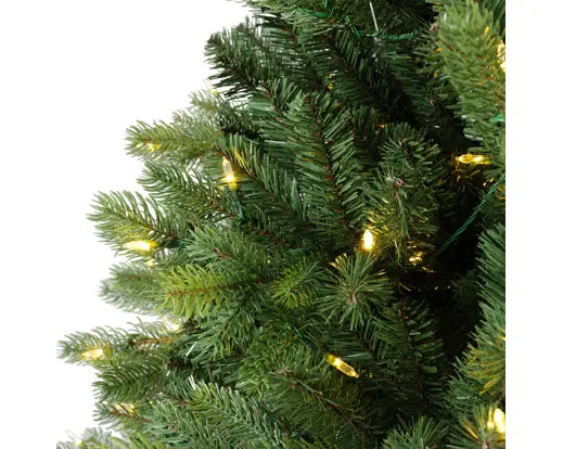 Freiburg Pine Gb Prelit 7FT