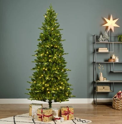 Killington Fir Gb Micro Led Indoor 6FT