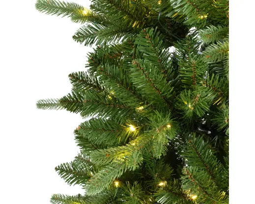Killington Fir Gb Micro Led Indoor 6FT
