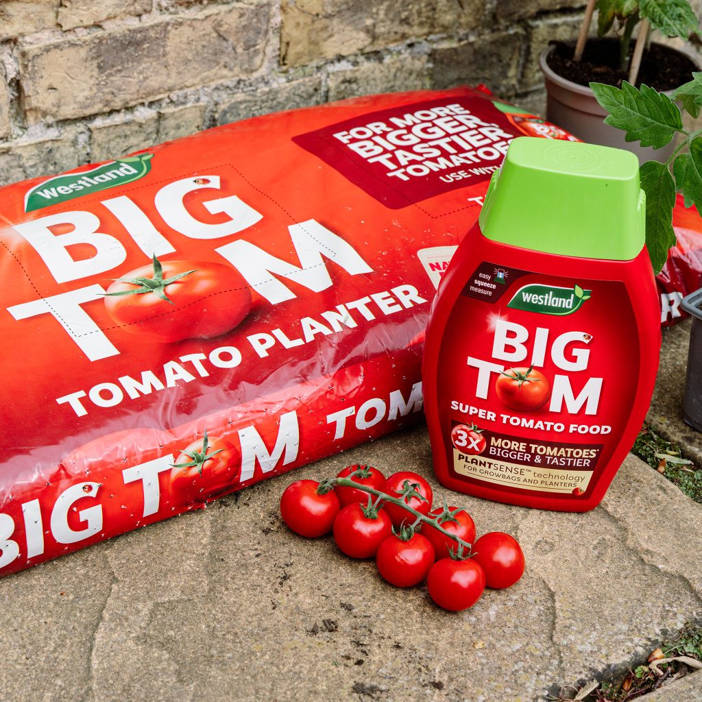 Big Tom Peat Free Tomato Planter