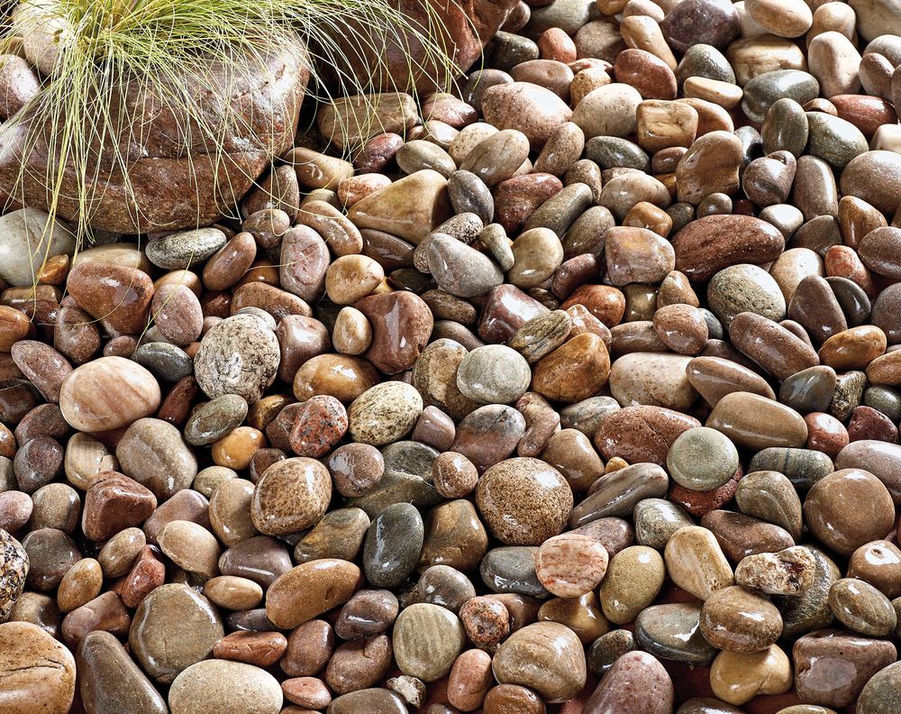 North Sea Cobbles