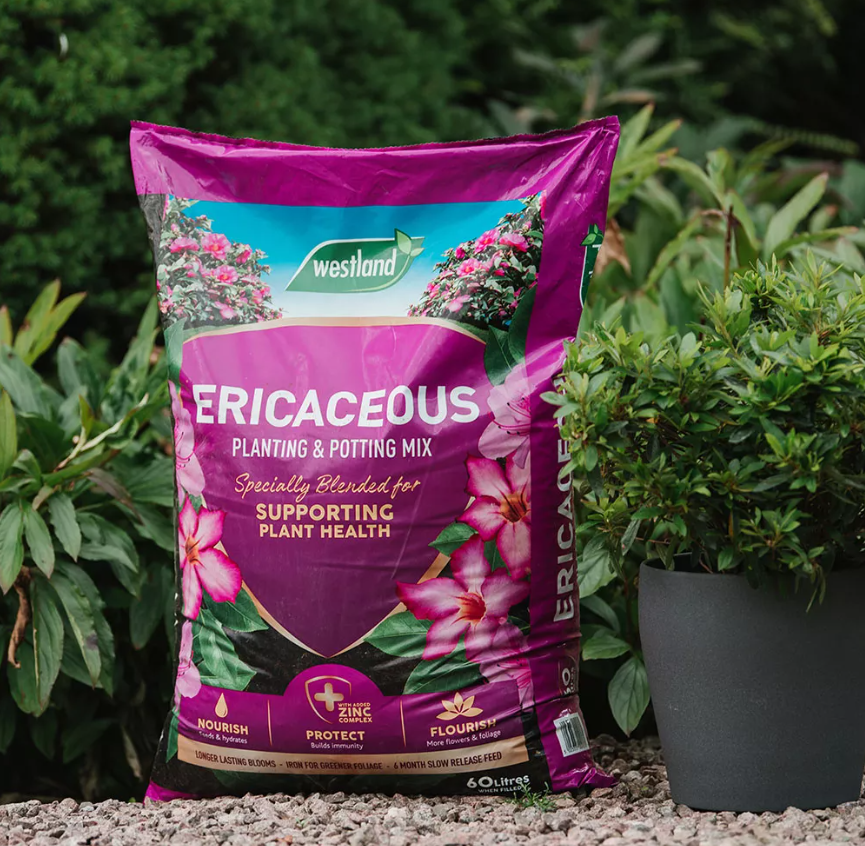 Ericaceous Planting & Potting Mix 50L