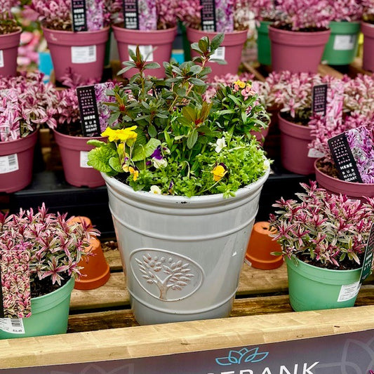 MOTHER'S DAY PLANTER SMALL