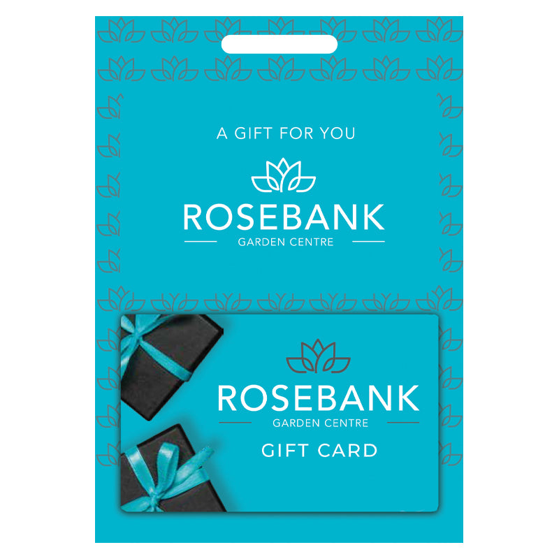 Gift Card - DIGITAL VERSION